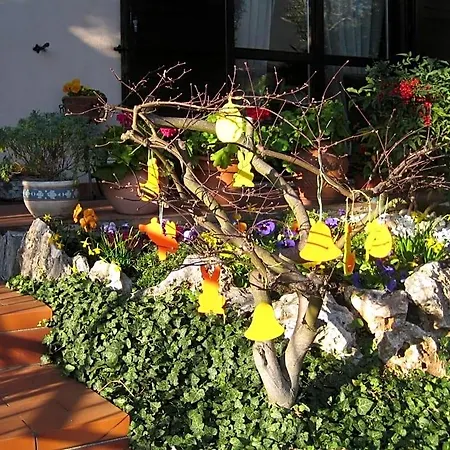 Al Calicanto Bed & Breakfast Sorisole